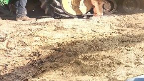 Silverado HD Carhartt Special Edition 2021