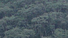 Los deslizamientos de tierra son desastres naturales peligrosos.