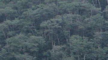 Los deslizamientos de tierra son desastres naturales peligrosos.