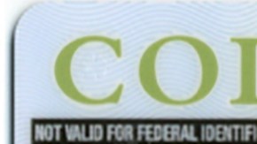 Licencia para indocumentados en Colorado.