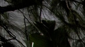 Las protestas por la muerte de George Floyd continuan en todo el país a una semana de su muerte.