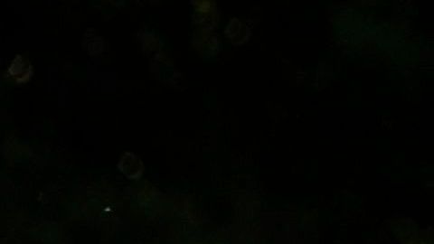 Todos los manifestantes deben llevar mascarilla y gel desinfectante.