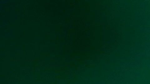 El presidente Donald Trump.