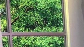 Ella es la Chiquibaby, de Telemundo, una de los talentos de Un Nuevo Día.