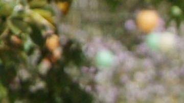 Los estudiantes indocumentados en California también pueden recibir ayuda financiera.