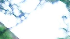 El jefe de la policía neoyorquina asegura que las protestas no han influido en la decisión.