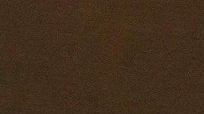 José Eduardo Derbez