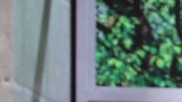 Rashel Díaz junto a Héctor Sandarti, Marco Antonio Regil y Adamari López en Un Nuevo Día.