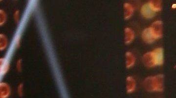 Migbelis Castellanos