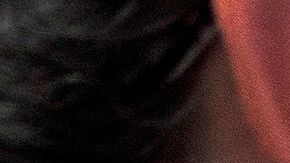 Critican la gestión del gobernador de Florida.