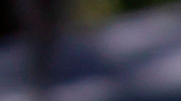 Un padre y un hijo blanco son los sospechosos del asesinato.