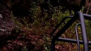 Encontraron encontrado casquillos de AK-47 y de AR-15 en la zona.