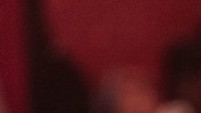 Bar-Hudson Marques en Pexels