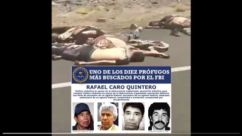 VIDEO: Caro Quintero tras la matanza de 10 a unas millas de frontera con EE.UU.