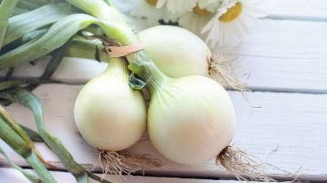 Las cebollas son un vegetal rico en fibra, vitaminas, minerales, poderosos antioxidantes, que benefician el control de la diabetes. Además, son bajas en carbohidratos e índice glucémico.