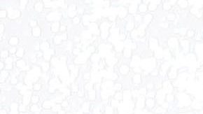 Celia Lora se desnuda y cubre su cuerpo con anillos de compromiso para celebrar sus 10 millones de seguidores en Instagram.