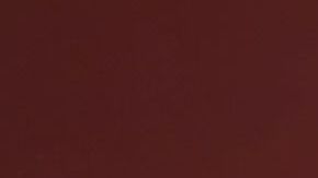 Zoé Robledo, director del  IMSS.