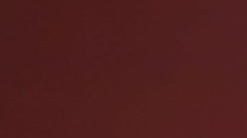 Zoé Robledo, director del  IMSS.