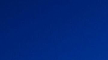 As Summer Temperatures Rise Bark Beetle Infestations Intensify
As Summer Temperatures Rise Bark Beetle Infestations Intensify

WERNIGERODE, GERMANY - SEPTEMBER 20: Wood piles of trees ravaged by a bark beetle infestation stand in a forest on September 20, 2019 near Schierke, Germany. Summers in Germany, as a consequence of global warming, have become dryer, which has weakened many native tree varieties and made them more susceptible to infestations of the bark beetle. While some forestries are taking an active approach to the problem by cutting down affected trees in an effort to halt the expansion of the beetle's spread, others are taking a passive approach to let the infestation run its natural course and ultimately leave a stronger forest behind. Bark beetles have been a recurring problem in Central Europe for a long time, though the dryer summers are making the infestations more intense and widespread. (Photo by Alexander Koerner/Getty Images)