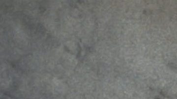 Dulce María.