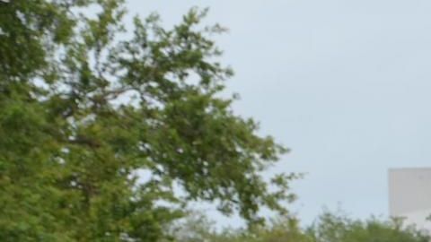 Algunos manifestantes en bicicleta en el condado de Miami-Dade se unieron en sus bicicletas para protestar por la muerte de George Floyd.