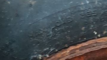 Zorro atrapado en una vieja llanta.