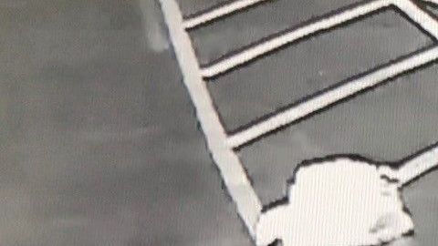 Captura de la cámara de la tienda Pawn & Guns en la que se ve a los sospechosos entrando en la tienda para robar las armas.