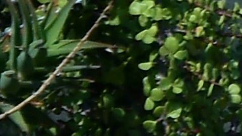 El FBI carga evidencia de la casa de Huizar en 2018.