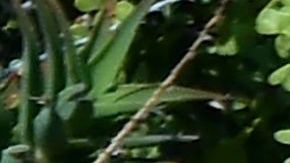 El FBI carga evidencia de la casa de Huizar en 2018.