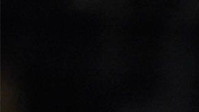 Fernando Tatis Jr. fue la revelación de los Padres de San Diego.