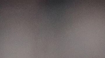 Torii Hunter rompió el silencio respecto al racismo en los parques de pelota.