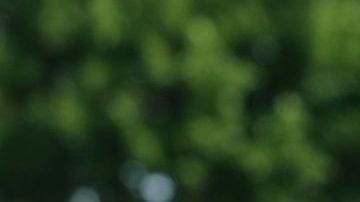 Faustino Asprilla, uno de los grandes delanteros colombianos de los últimos años.