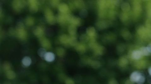 Faustino Asprilla, uno de los grandes delanteros colombianos de los últimos años.