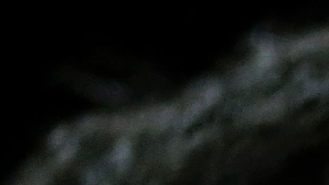 Drew Brees le envió un contundente mensaje a Donald Trump a través de las redes sociales.