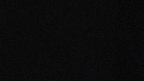 Roger Federer dejará el 2020 con apenas un torneo y seis partidos jugados.