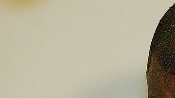 Mike Tyson tiene al tenista en su bicep izquierdo.