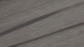 Ray Ciccarelli maneja el camión #49, nunca ha ganado una carrera.