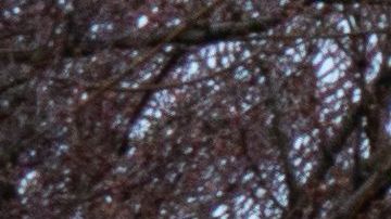 En Hart Island se entierran varios cuerpos de fallecidos por coronavirus en la ciudad de Nueva York.