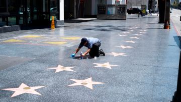 Un hombre limpia la estrella de Trump en Hollywood.