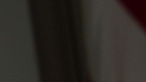 Fauci y el presidente hablaban con la prensa casi a diario al inicio de la crisis sanitaria.