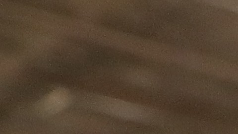 Coronavirus Costco COVID-19 cumpleaños Distanciamiento Social graduaciones cumpleaños