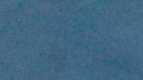 Una de las pasajeras murió por las complicaciones de COVID-19.