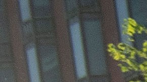 El presidente Trump amagó con desplegar Fuerzas Armadas.