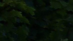 Miembros de la policía militar tienen un perímetro cerca de la Casa Blanca, mientras continúan las protestas por el asesinato de George Floyd.