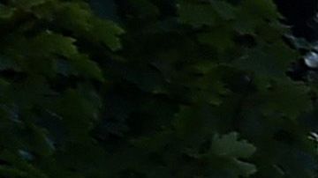 Miembros de la policía militar tienen un perímetro cerca de la Casa Blanca, mientras continúan las protestas por el asesinato de George Floyd.