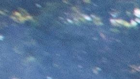 Los latinos son los segundos que más mueren a manos de la policía.