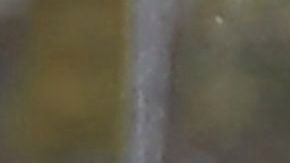 Saqueos en Van Nuys comenzaron mientras manifestantes protestaban pacíficamente.