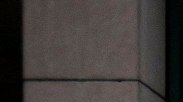 Microsoft tiendas cierre economía coronavirus