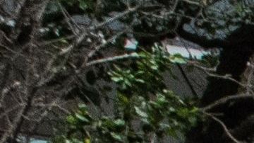 Familiares de Floyd hablaron con la prensa durante una marcha en Houston.