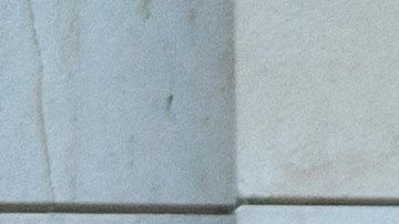 Demócratas del Senado en un momento de silencio para honrar a George Floyd y al movimiento Black Lives Matter.